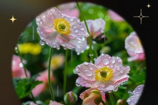 阳光生活感悟的句子 - 阳光生活的说说