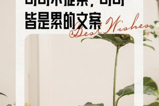 生活累的文案抽象（生活累的段子）