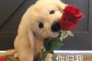 表情包生活日常 日常表情包大全