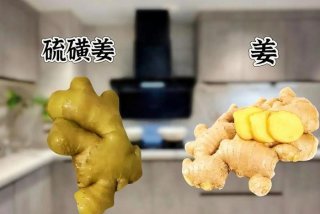 生活妙招窍门大全集视频，生活妙招视频大全视频教程