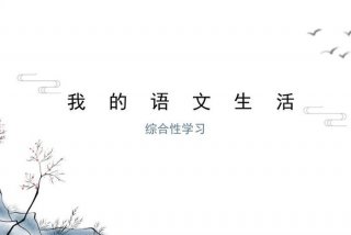 我的语文生活综合性学习（学语文的好处和重要性）