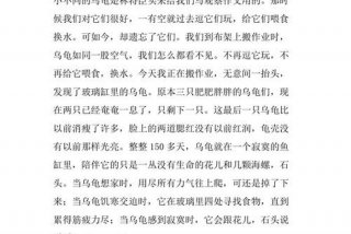 生活感悟文章300字 - 生活感悟文章300字怎么写