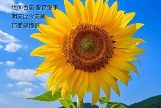 早安生活正能量简单一句话；早安生活励志说说