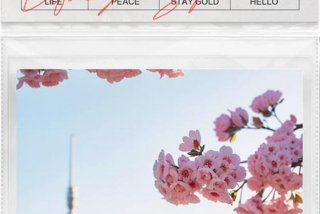 分享生活中的美好点滴 - 分享生活中的小美好