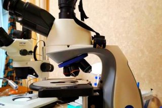 超生活体显微镜检查 - 超生活体显微镜检查与超生生物的区别