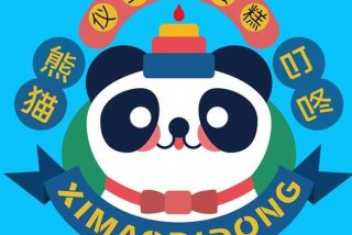 叮咚生活美学 抖音叮咚生活