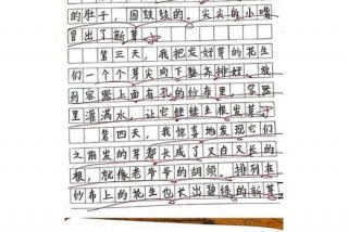 观察生活日记二年级 - 观察生活写日记