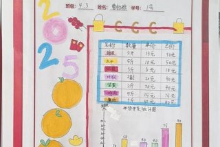 生活中的分类统计 分类统计在生活中的应用