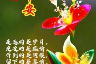 祝生活愉快类似的祝福语 - 生活愉快的相关祝福语