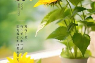 早安生活文案 - 早安生活文案图片