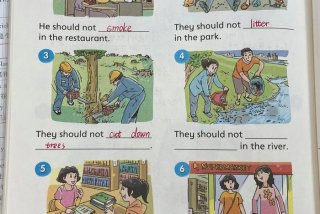 生活环境英语怎么读，生活环境 英语