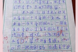 学校生活日记三年级，学校生活日记三年级怎么写