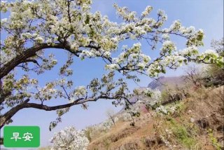 生活就是用一分的甜冲淡九分的苦，生活就是用一两分的甜,冲淡那七八分的苦