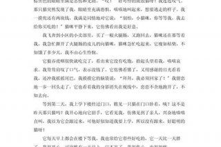 流浪猫的生活日常加说明方法，流浪猫的生活作文