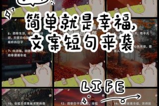 简单幸福生活的优美句子 - 简单的幸福生活文案