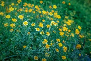 生活小镜头视频 - 生活小境头