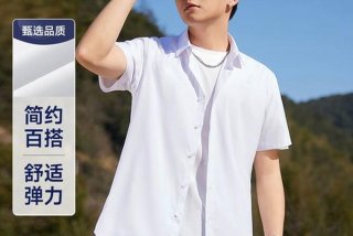日常衬衫；衬衫 款式