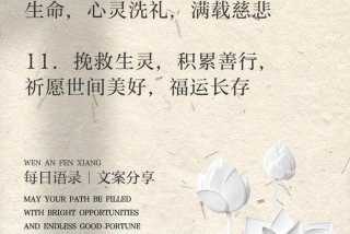 放生活动主题 关于放生活动后的文案