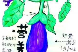 茄子生长周期多少天、茄子生长周期多少天挂果