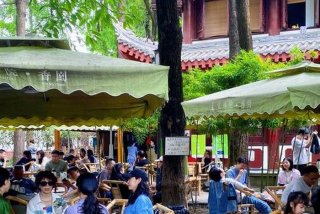 成都慢生活喝什么茶 成都慢生活文化