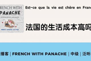 在法国生活的成本（在法国生活的成本和社会治安情况）