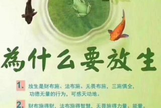 放生活动宣传语 - 放生活动内容