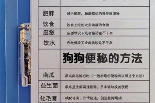 属性与生活3便意怎么解决、属性与生活3便意是什么