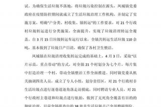 农村生活垃圾治理情况汇报 - 农村生活垃圾治理成效