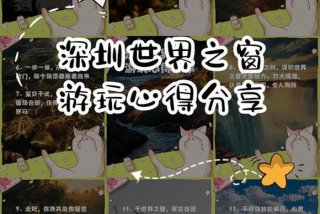 在深圳生活的真实感受；在深圳生活的真实感受怎么写