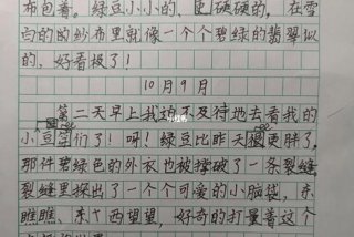 观察生活日记四年级下册 四年级下观察日记400字