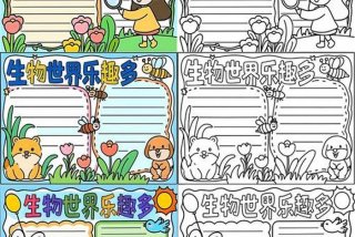 生物与生活手抄报 - 生物与生活手抄报初二