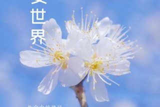 有冲劲的正能量句子 有冲劲的正能量句子早上