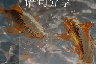分享生活经验感悟 - 分享 生活