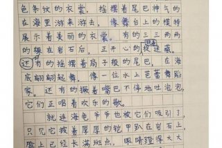 南沙生活日记（南沙作文）