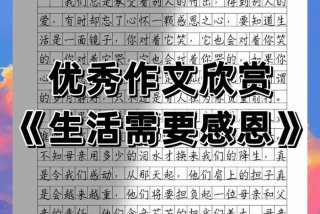 生活教会了我们什么（生活教会了我们什么作文）