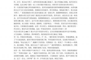 生活小妙招作文400字四年级；生活小妙招作文150字