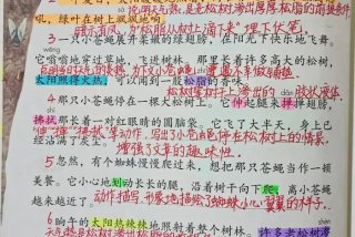 生活语文、生活语文四年级下册