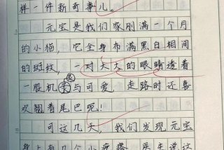 日常生活周记100篇，日常生活周记100篇三年级