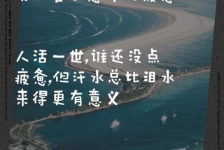 生活很累的文案人生感悟（生活很累语录）