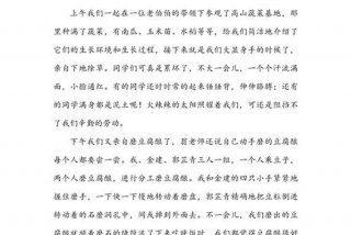 周记日常生活初中、周记日常生活初中300字