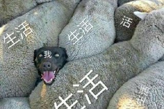 我 生活 表情 - 我生活表情包图片