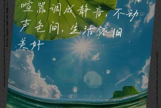 生活过成诗岁月成歌不着调、生活过成日月了的意思