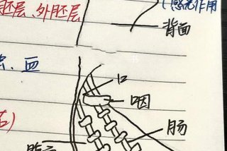 寄生生活的扁形动物，寄生生活的扁形动物什么器官发达