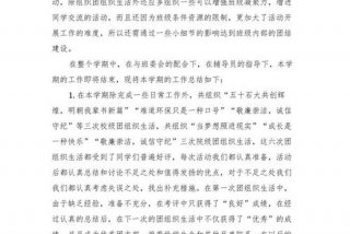 组织生活会组织委员工作总结报告、组织委员组织生活会检视剖析材料