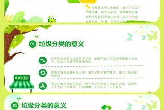 生活中的分类与整理实践报告；生活中的分类课件