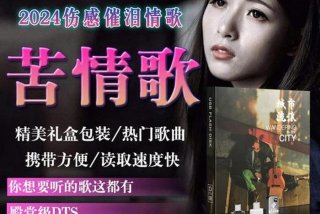 悲催生活的歌曲 - 悲伤生活的歌