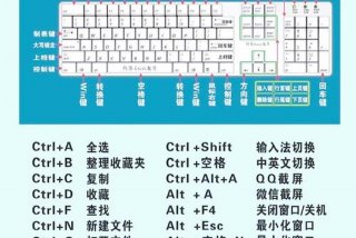 生活百科电脑知识，生活百科电脑知识怎么下载