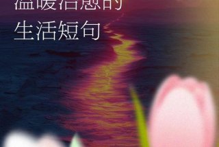 让生活充满阳光的优美句子（让生活充满了阳光）