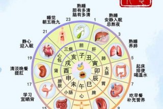 古代人生活作息（古人的作息时间与养生）