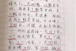 装点生活作文800字 - 用 装点生活作文